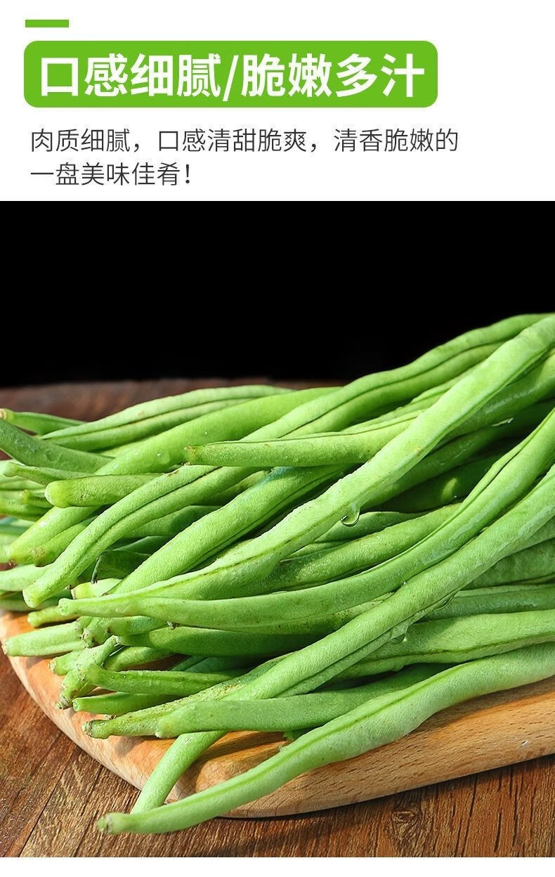 无筋豆新鲜蔬菜无筋豆豆角架豆四季豆无丝豆现摘长豆角芸豆嫩刀豆
