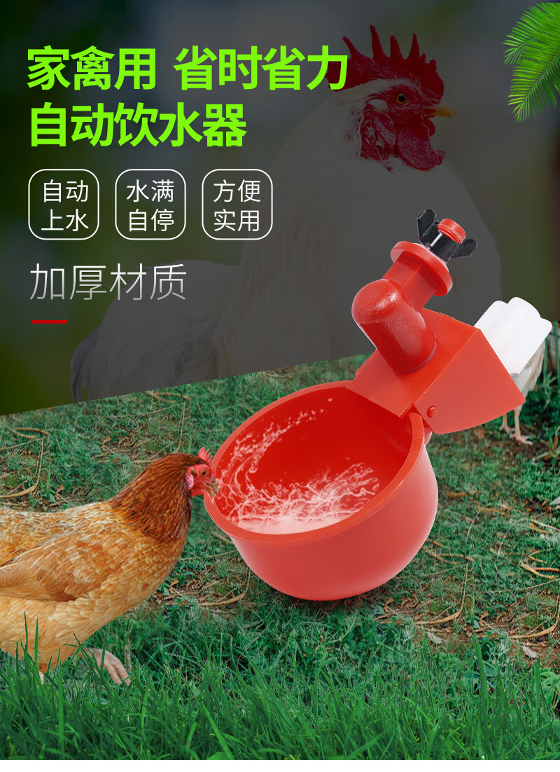 新型鸡喝水的自动饮水器 鸡用自动饮水器鸡鸭鹅饮水碗喝水碗鹌鹑家禽