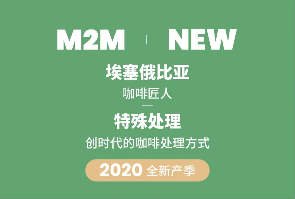 m2m 特殊处理新产季埃塞俄比亚阿多拉西蒙阿贝精品手冲咖啡豆100g