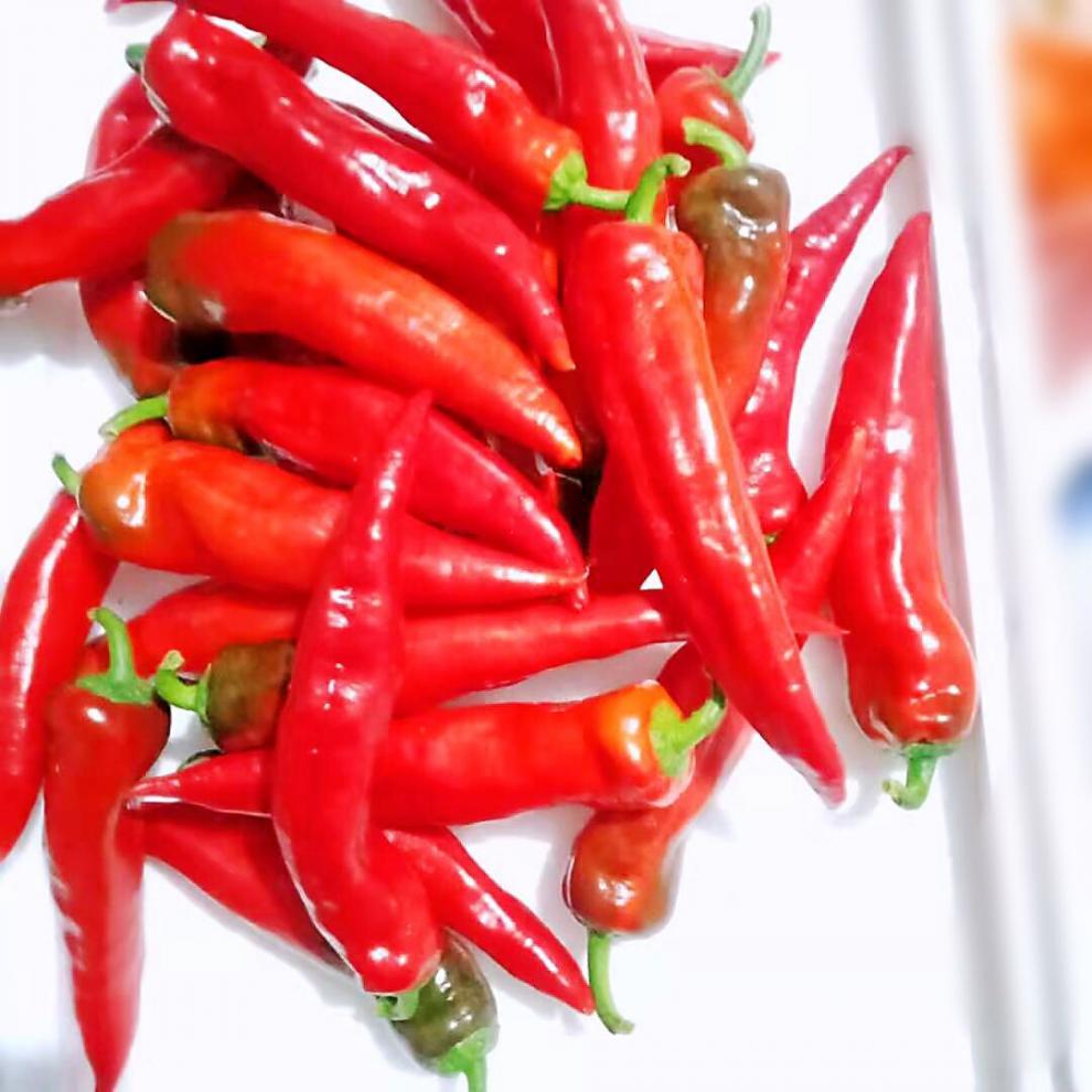 红辣椒新鲜特辣妹子美人椒薄皮大红色尖椒笨小辣椒青椒杭椒螺丝椒【8