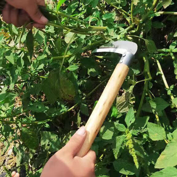 镰刀割草刀定制割韭菜镰刀割菜木把收割韭菜镰刀联能 铁把小镰刀