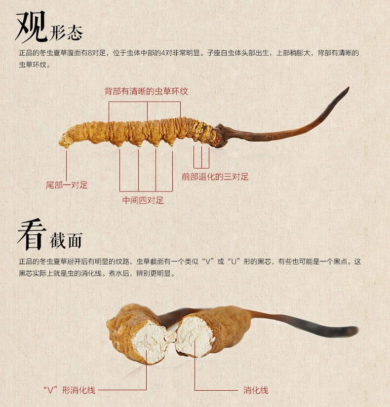 冬虫夏草正宗云南冬虫草干货真品冬虫夏草礼盒批发送礼