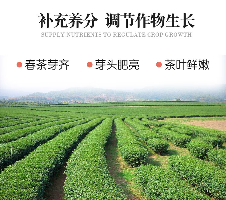 茶叶催芽剂专用叶面肥 茶树催芽素早发芽细胞分裂 催发嫩芽肥芽齐 5瓶