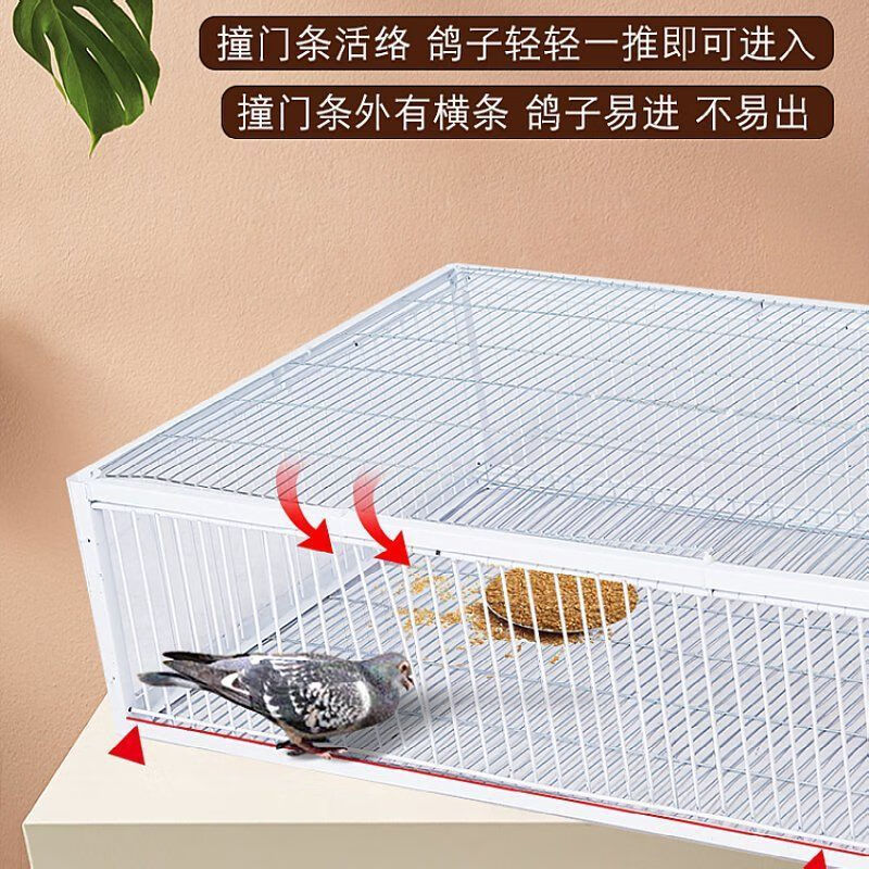 逮鸟夹子安全救助抓鸽子神器野外捕鸽子抓器网全自动大号诱捕逮鸽子