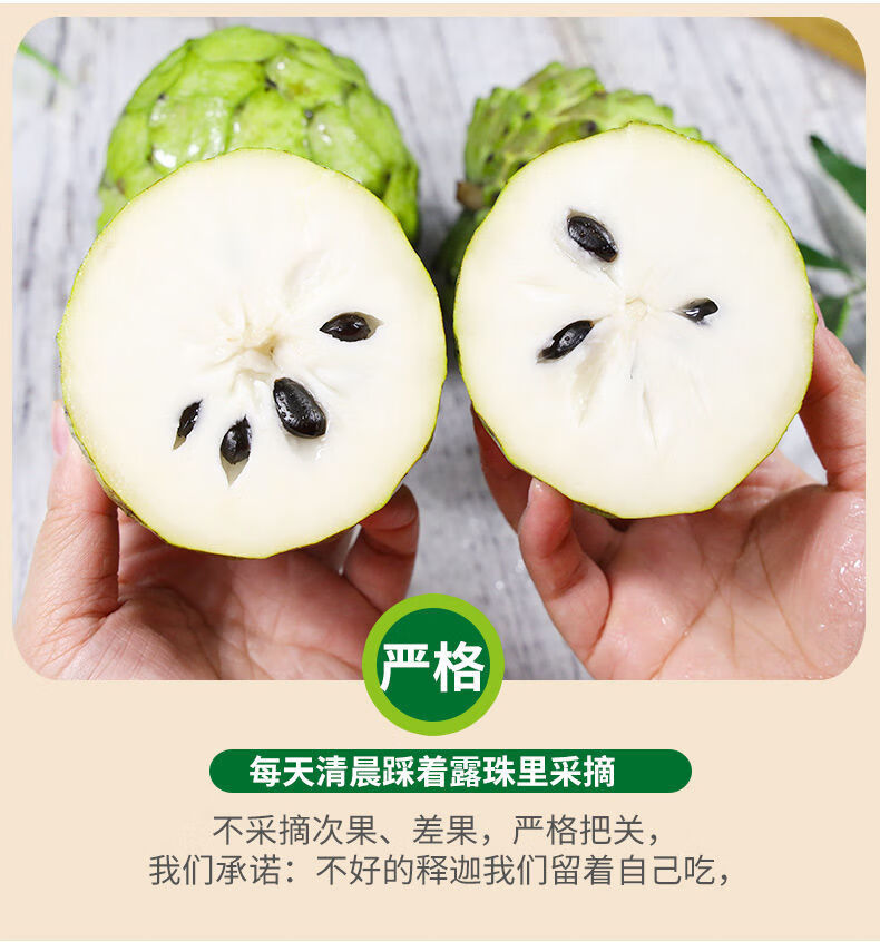 凤梨释迦果新鲜5斤应季现摘番荔枝大果海南佛头摩尼大果水果 500g