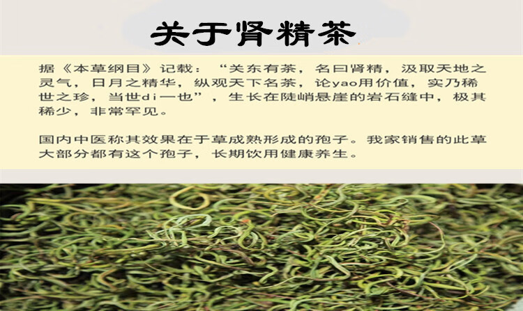 5折萃隐长白山肾精茶养生茶野生肾精草茶50g罐装化石草男性补精肾持