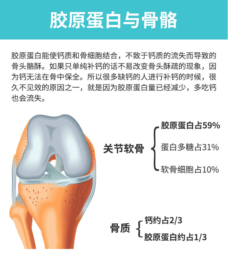 牛骨胶原肽胶原蛋白肽粉小分子蛋白质粉女双带三饮料软骨 绿色 100g