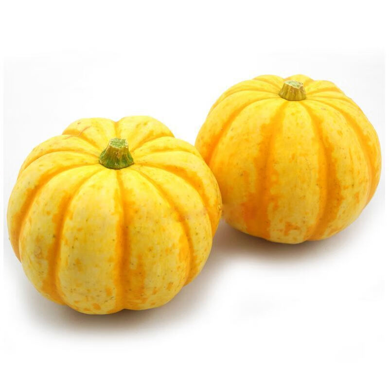 农家自种小南瓜小桔瓜迷你小黄金南瓜太阳果小金瓜10个精品桔瓜礼