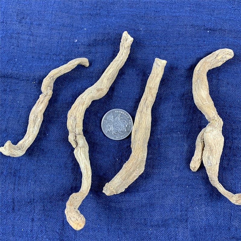 中药材起阳草苗药壮药配一见起壮泥鳅250g