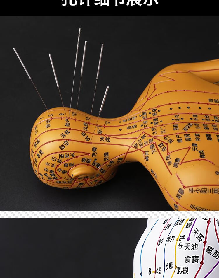 硅胶人体穴位模型高清授课经脉推拿模具初学模拟针灸模特铜人 彩色