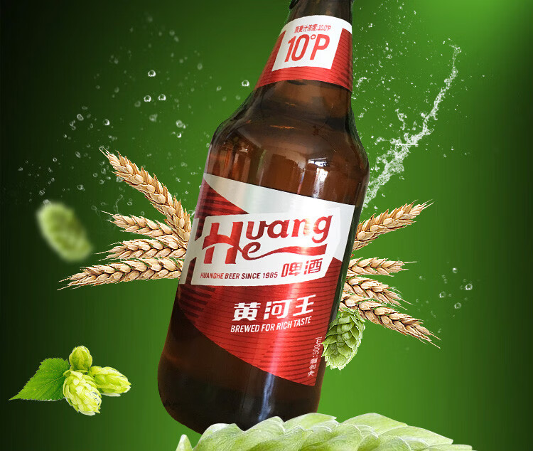 牧马安达新品 甘肃兰州特产黄河王易拉罐啤酒500ml罐装 黄河王500毫升