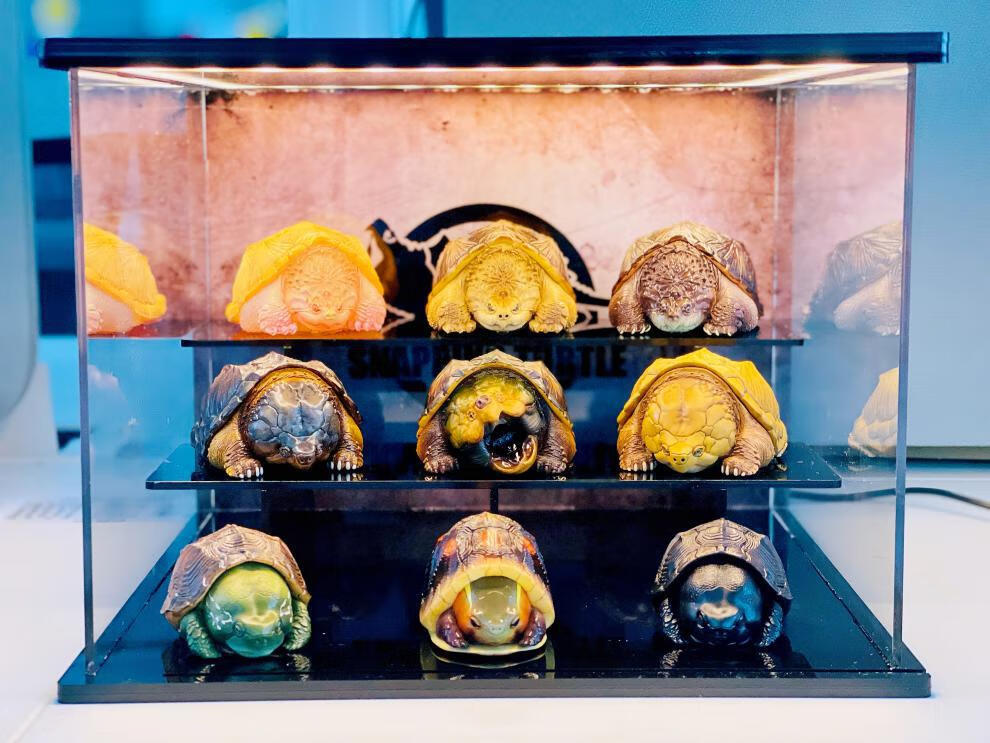 心宽体胖系列 动物星球心宽体胖系列白化鳄龟限量初版稀少现货 限定版