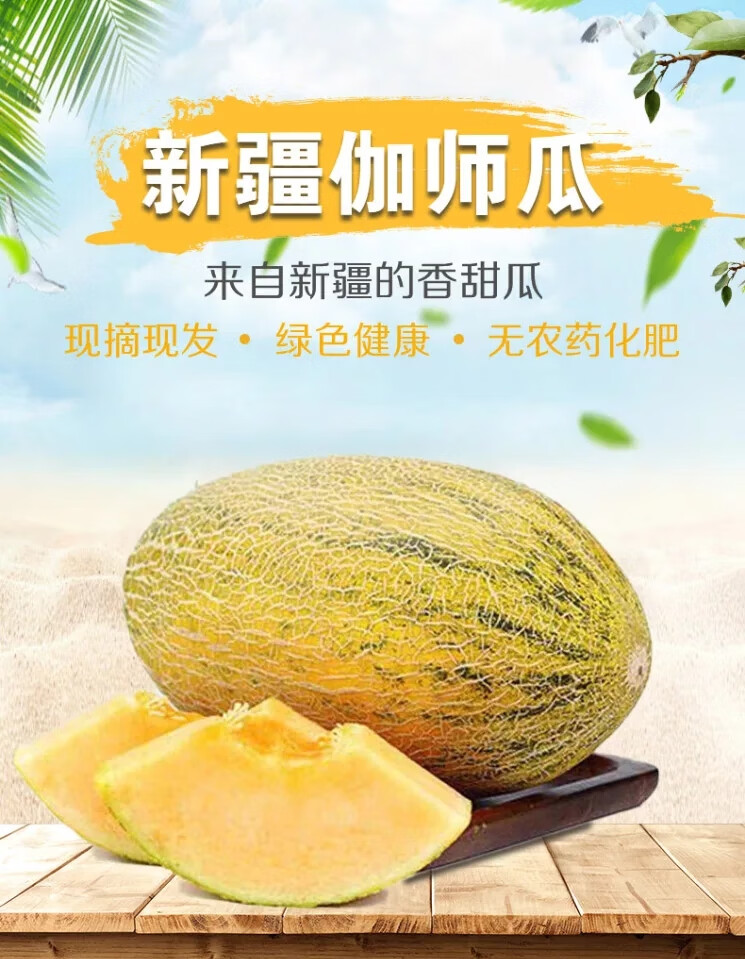 空运正宗新疆特产伽师瓜八六王哈密瓜新鲜当季水果喀什甜瓜现摘现发
