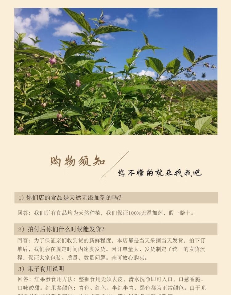 红果参稀有水果新鲜孕妇水果云南特色罕见水果蜘蛛果 八盒装1000克