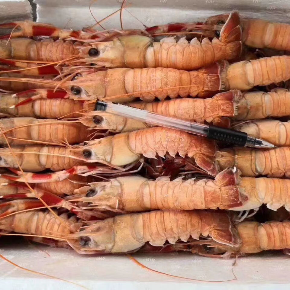 海龙虾新鲜海鲜海捕海鳌虾深海小龙虾速冻整箱福茹洲净重约45斤