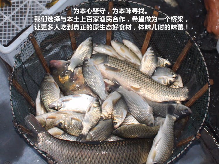 e9b6f1bc2d266764.jpg.avif