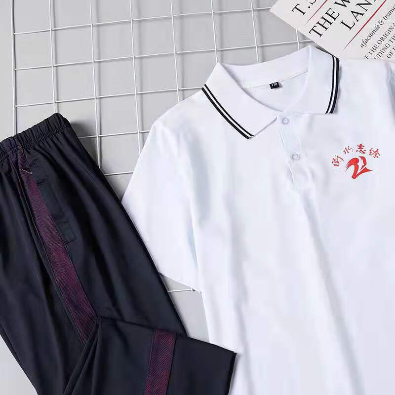 衡水二中志臻校服衡水二中 志臻中学 滨湖清河安平高中生夏季短袖上衣