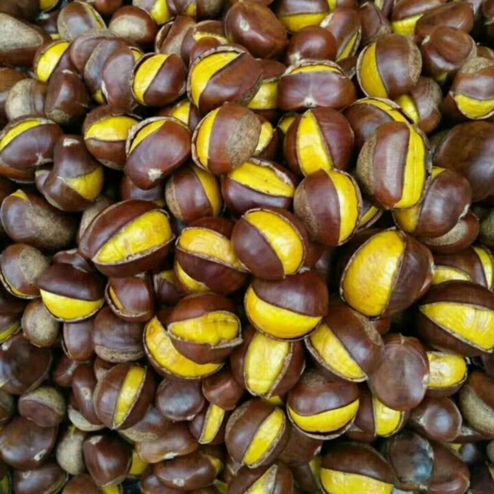 熟板栗炒熟糖炒栗子山东板栗仁新鲜甜糯即食现炒散装坚果零食礼盒2斤