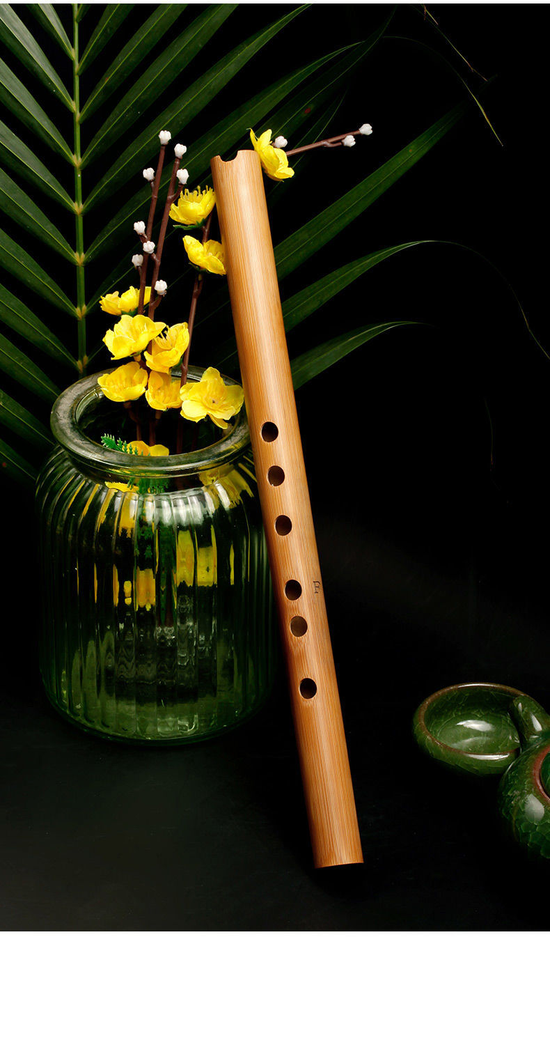 零基础入门洞箫便携苦竹短萧笛初学迷你古风六f调民族潇乐器迷你短箫f