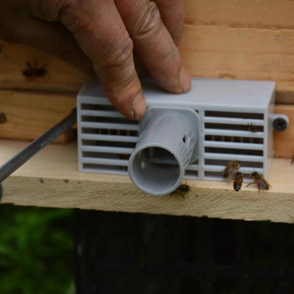 中蜂自动分蜂器防逃框守收蜂神器分蜂收王器分蜂器中蜂自动收蜂器 中