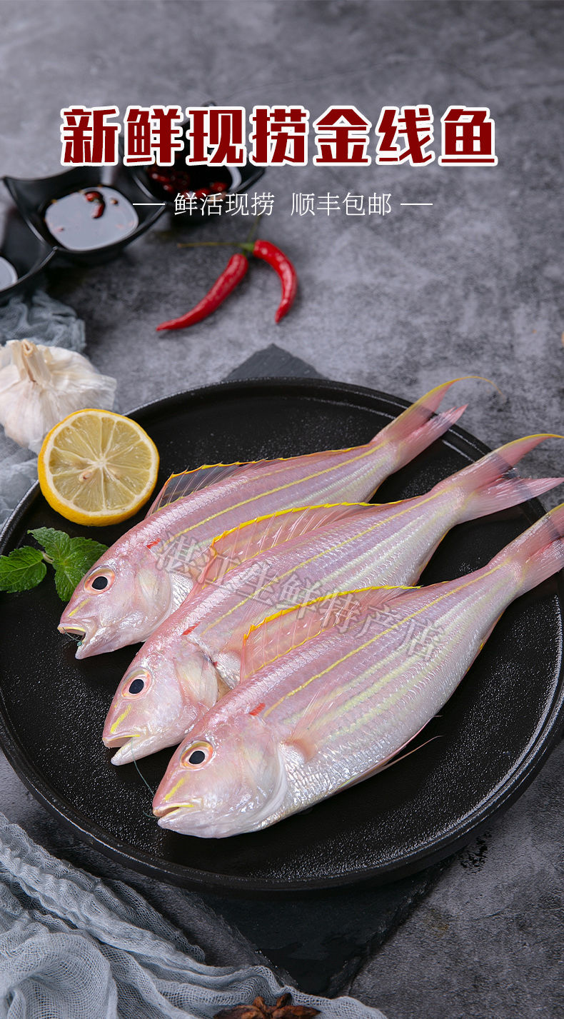 好物推荐鲜美惊湛江新鲜金线鱼海鲜水产海钓海鱼冷冻红杉鱼鲜活红三鱼