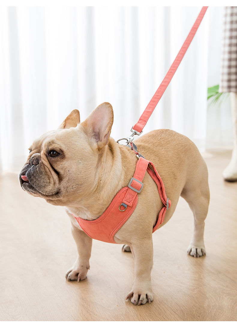 狗狗牵引绳背心式小型犬可调节防挣脱泰迪胸背带遛狗绳狗链子用品