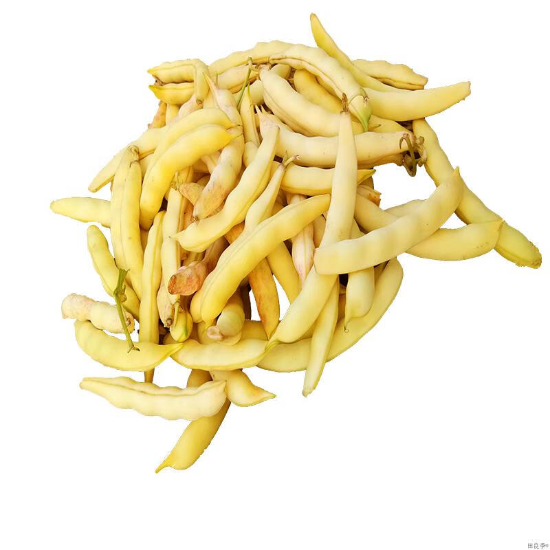 顺丰东北黄金勾油豆角钩豆角新鲜鼓豆角勾勾黄豆角兔子翻白眼4斤水果