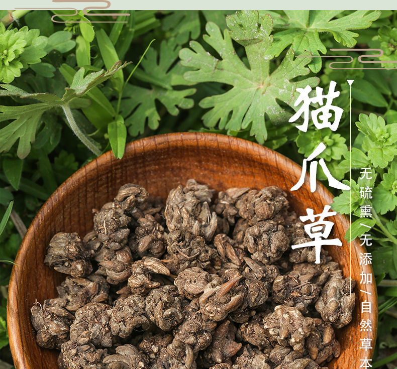 北京同仁堂中药材猫爪草中药猫爪草野生新鲜猫抓草水洗猫瓜草无硫熏