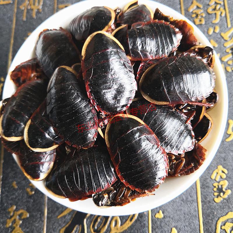 金边土鳖虫金边土元金边地乌龟金边地鳖土元促销100克
