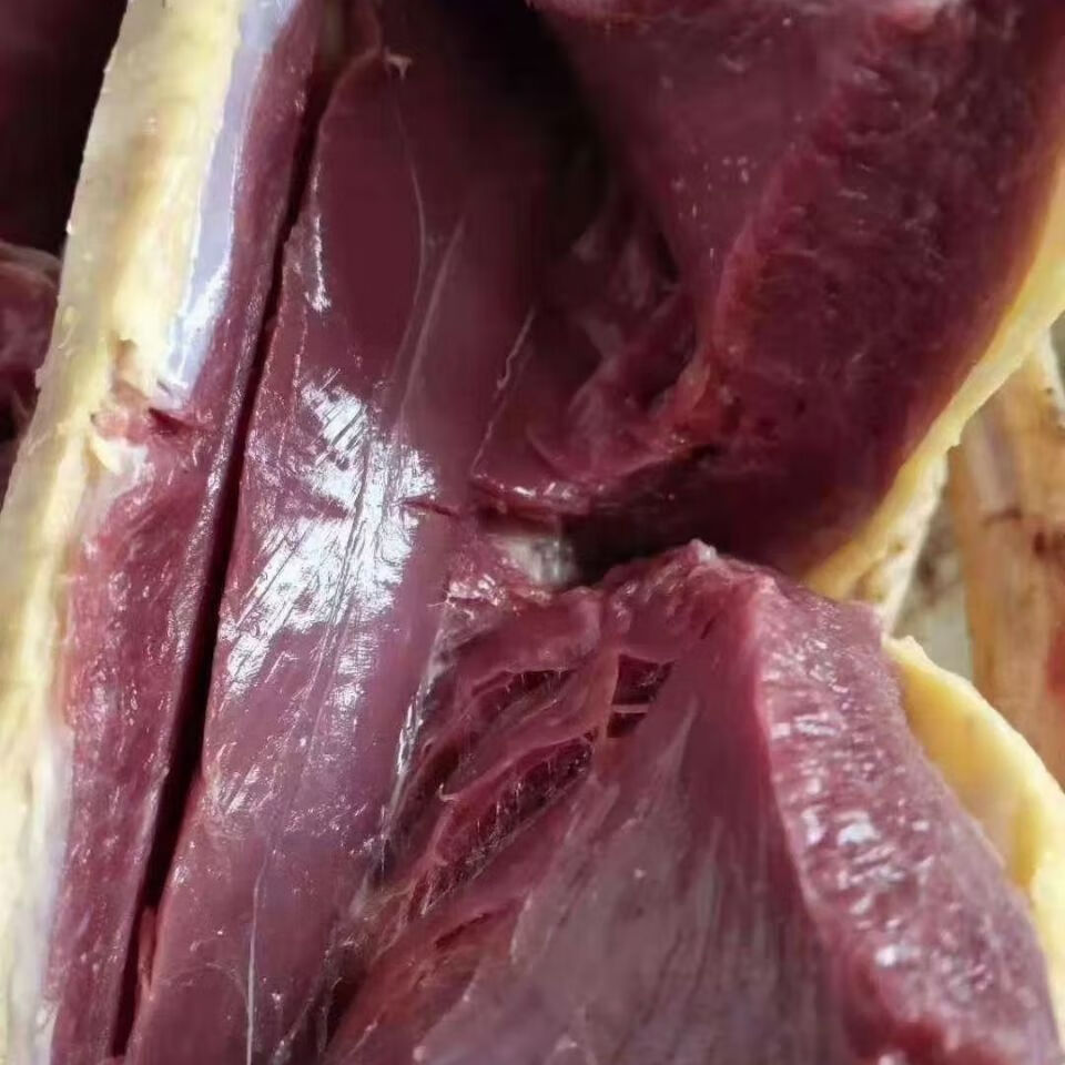 五折大雁整只查干湖周边农家散养大雁冷速冻新鲜510斤整只雁肉大雁鹅