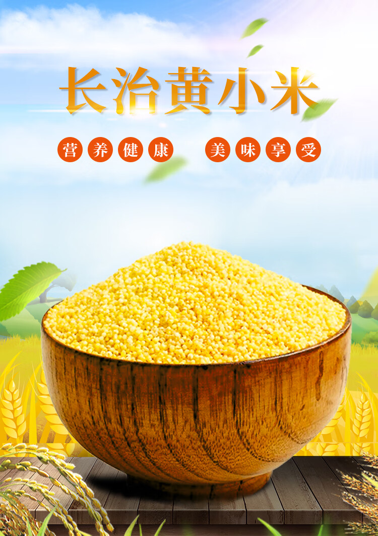 长治小米2021有机黄小米山西长治武乡特产农家自产五谷杂粮5斤袋新米