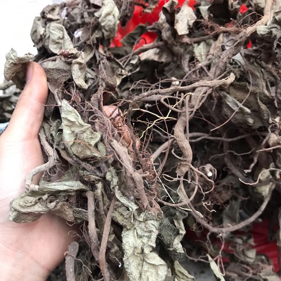 中草药虎舌红,天仙红农,红地毯,红毛毡老虎舌一斤 500g【图片 价格