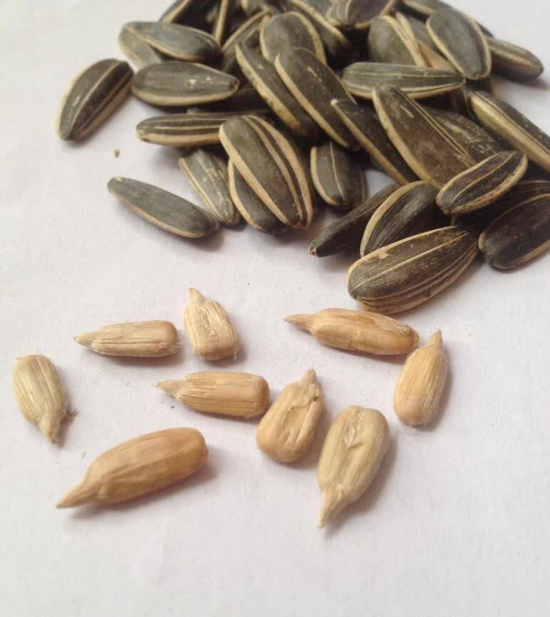 泰山瓜子水煮黑皮白皮多味五香奶香焦糖葵花子家庭装2kg粒大 4斤白皮