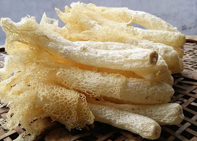 5折 新鲜竹荪干货竹笙500g无硫熏竹孙古田农家足逊野竹生菌菇土特产级