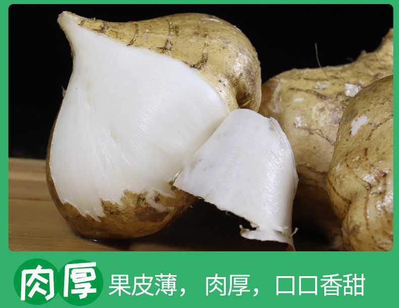 宏嘉睿 新鲜葛薯沙葛凉薯土瓜蔬菜豆薯农家白地瓜根番薯地 带箱9-10斤