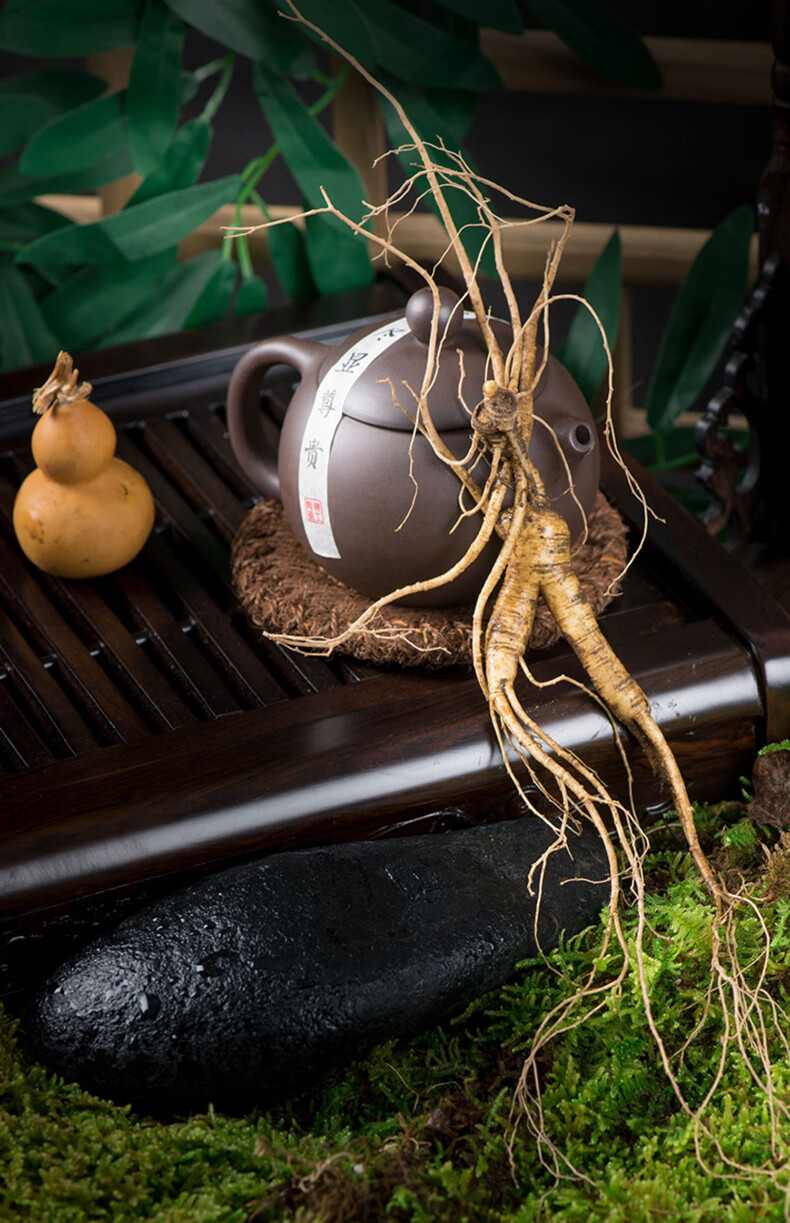 同仁堂新鲜林下参20年野山参东北特产老山参泡酒叁鲜人参长白山人参 2