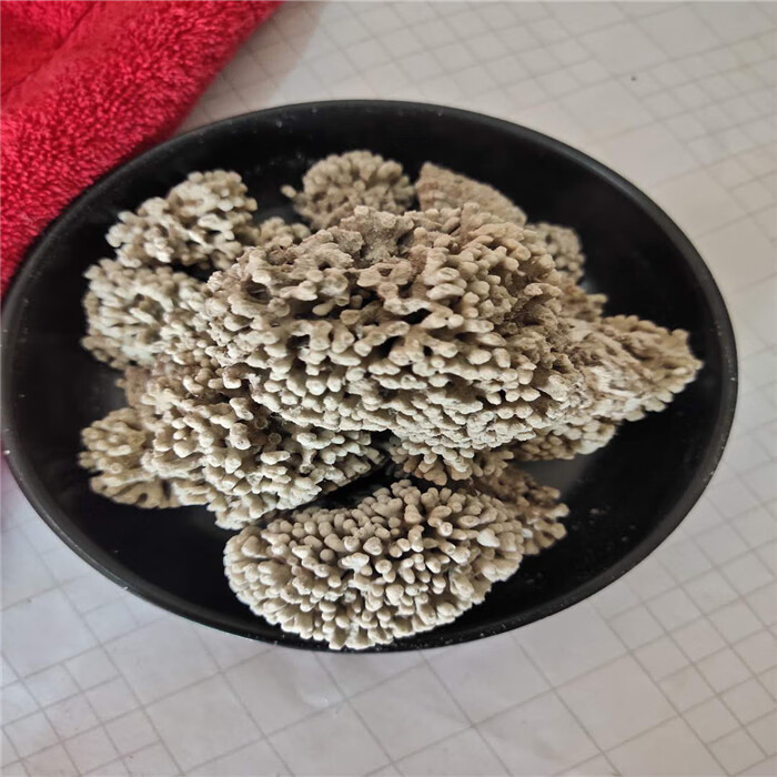 海浮石花中药材500克海浮石大花 水泡石 海石花 浮水石【图片 价格