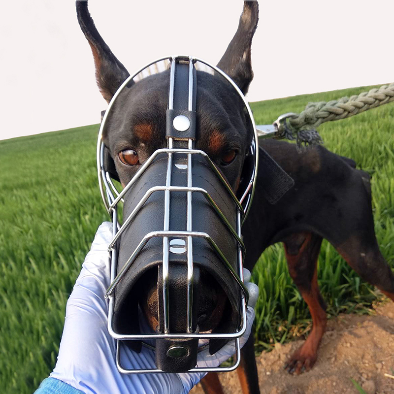 狗套嘴套 不锈钢防扒一体狗嘴套宠物狗大型猛犬防咬防吃杜宾牛头梗