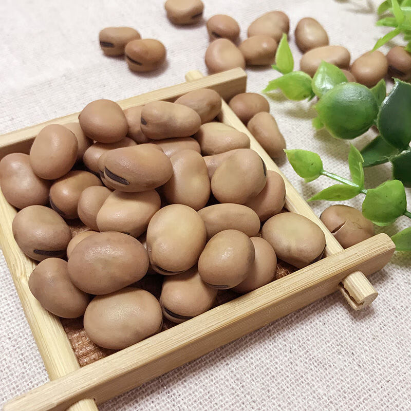 湖北小籽干蚕豆农家自种小豌豆罗汉豆青胡豆新鲜发芽蚕豆 小颗粒白