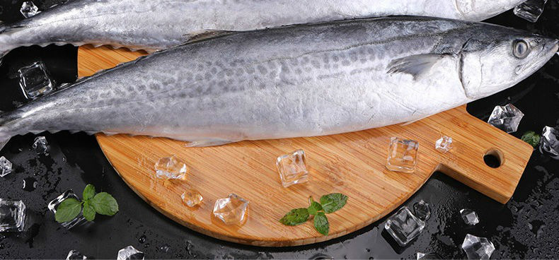 马鲛鱼5斤深海鲅鱼新鲜鲜活海捕冷冻燕尾鲅鱼大号鲅鱼海鲜水产 纯曼郎