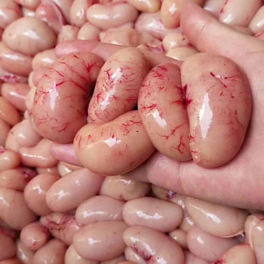 广东鸡公鸡蛋鸡春子鸡子鸡卵鸡杂鸡肉火锅鸡副品500g 500g【图片 价格