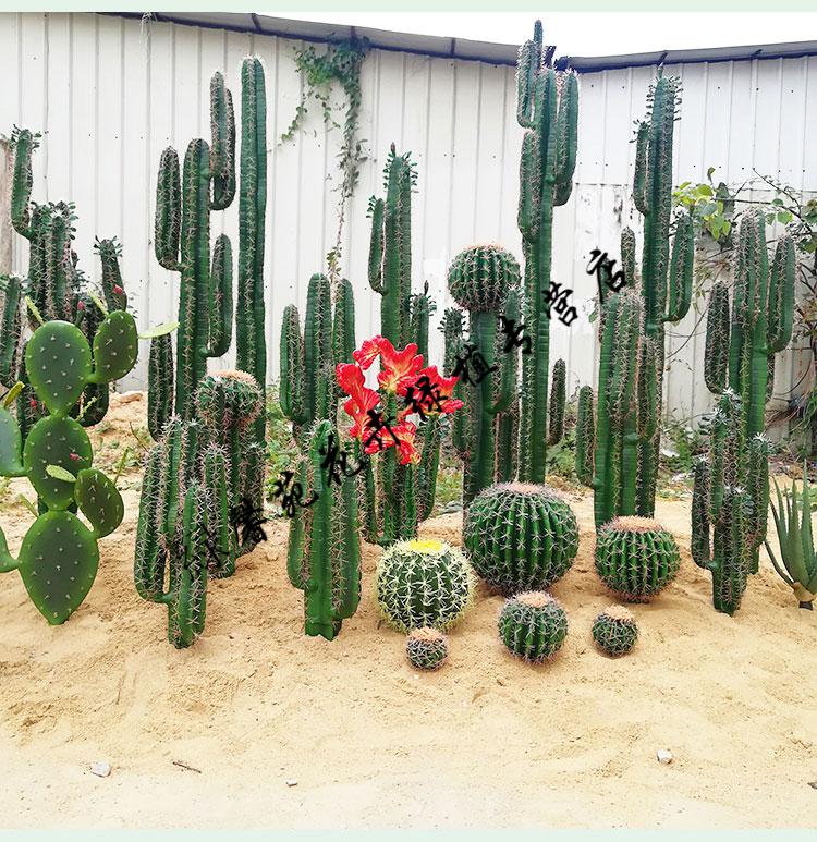 仿真仙人掌盆栽假绿植物仙人柱装饰摆件仙人球道具65厘米2手