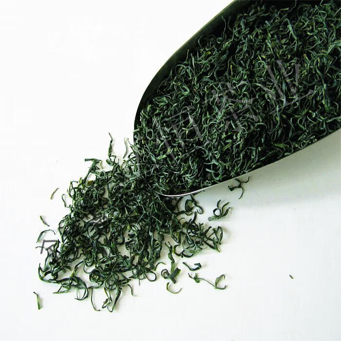 2021年新茶浙江绿茶温州泰顺茶叶明前茶春茶高山云雾茶250gk