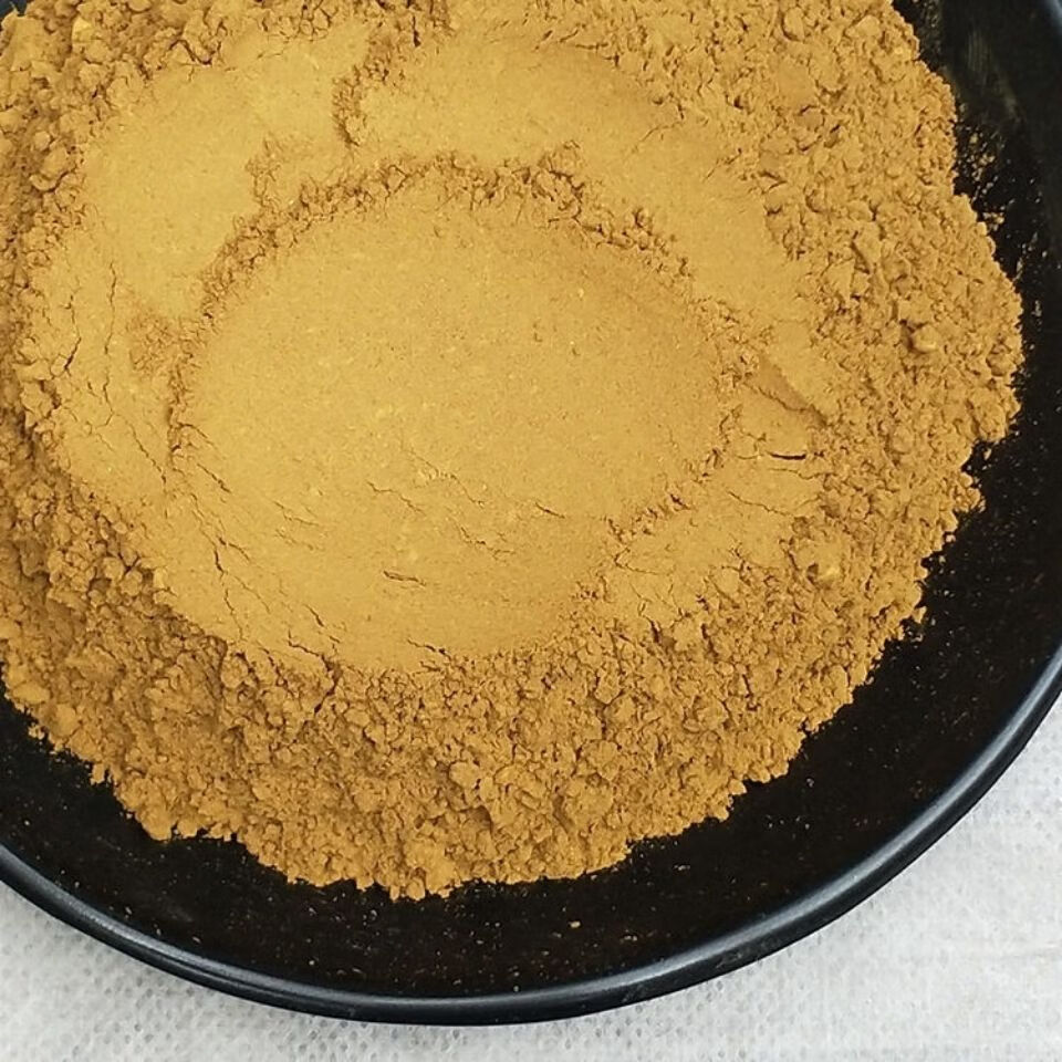 桑黄粉野生西藏桑黄500g桑树桑黄100g现磨纯粉多规格 官方直营500克粉