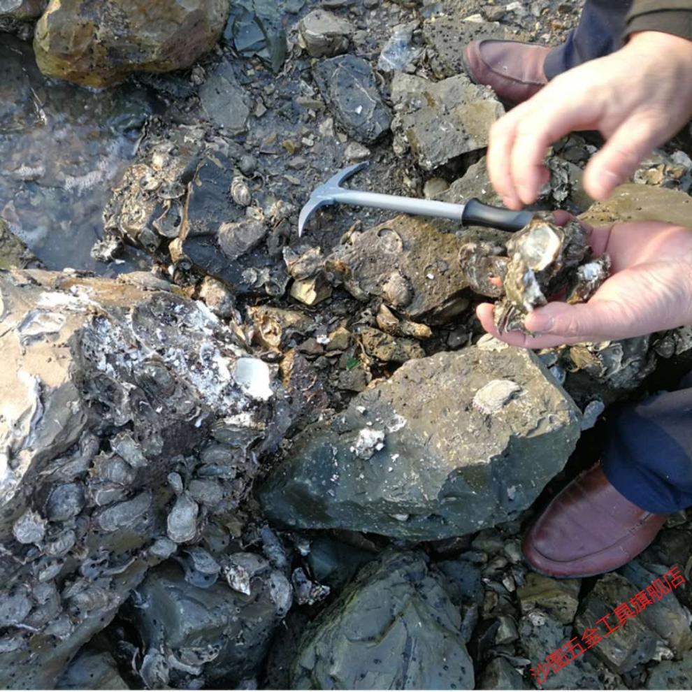 忽风 赶海挖海蛎子工具敲敲扇贝镐撬生蚝壳菜拾贝挖牡蛎工具 短款冲击