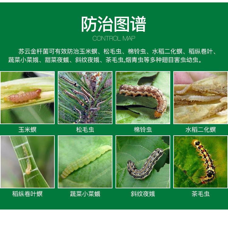 苏云金杆菌蔬菜果树农药杀虫剂菜青虫钻心虫吊丝虫小菜蛾食心虫药