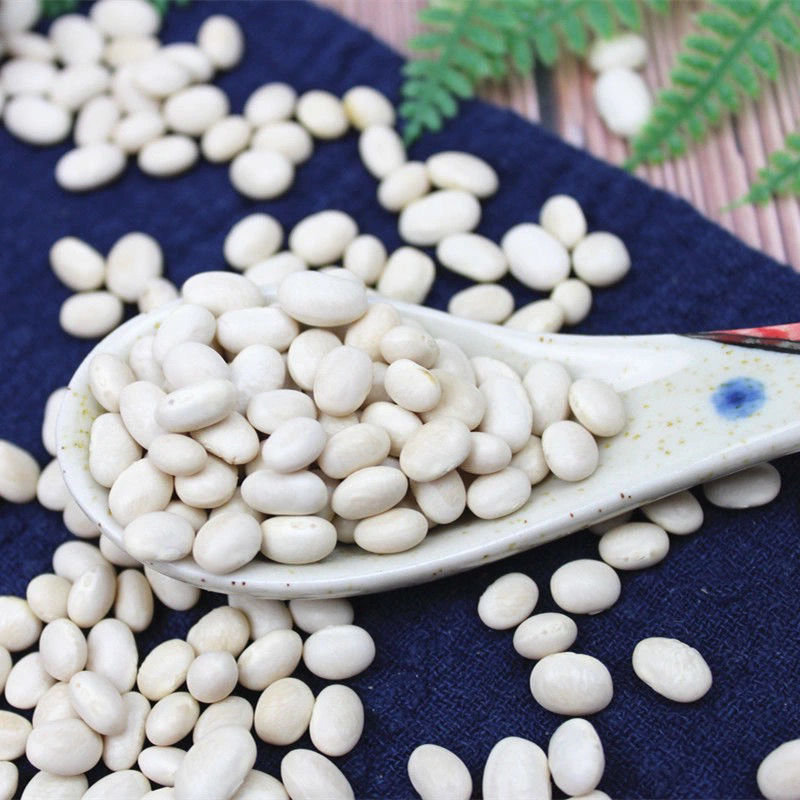 云南小白珍珠豆新货农家自种小芸豆白豆炖菜煲汤打豆浆豆类杂粮珍珠豆