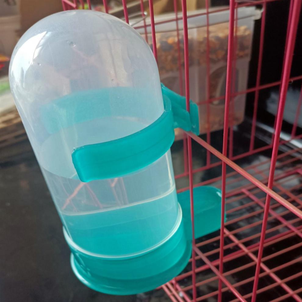 食槽鸽子防撒食槽自动漏食槽鸽子用品用具信鸽饮水器肉鸽下料器喂食器