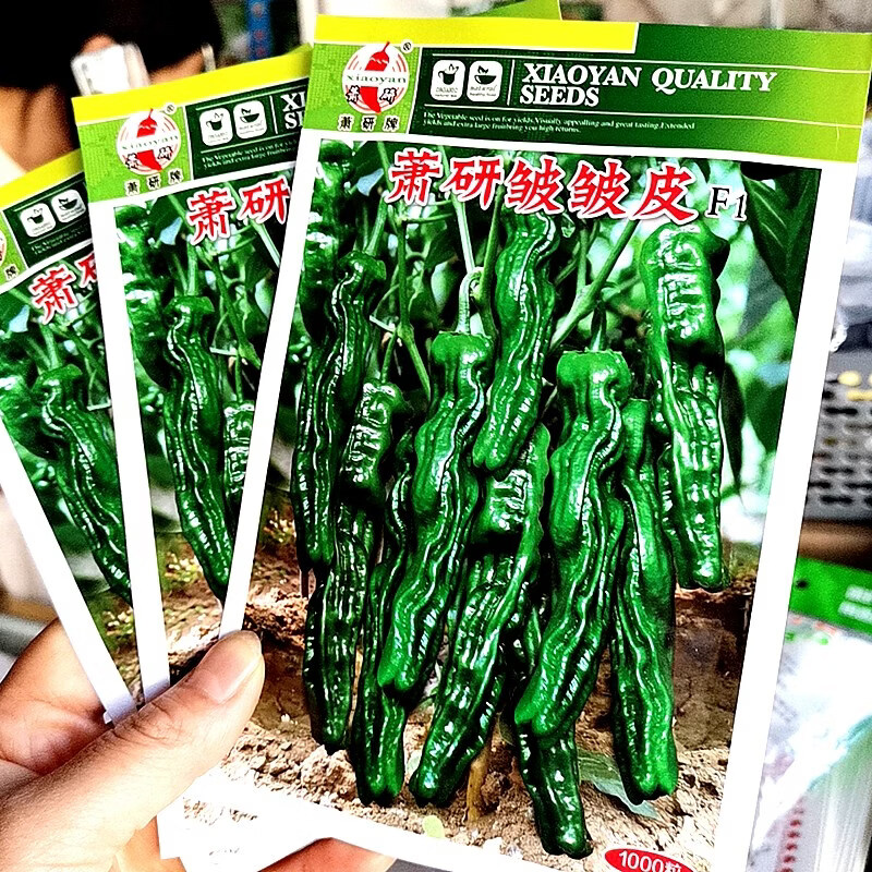 皱皮辣椒种子 安徽萧研种业薄皮香辣早熟羊角椒种籽 四季蔬菜种孑 萧