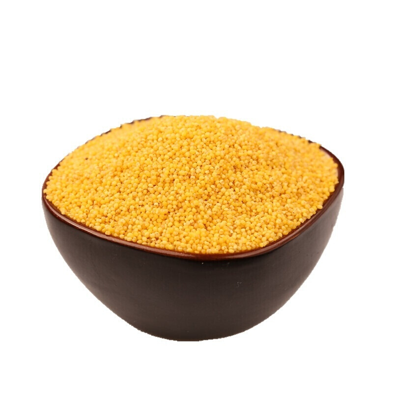 内蒙赤峰敖汉新米黄小米农家自产吃的小黄米食用养胃粥米9斤